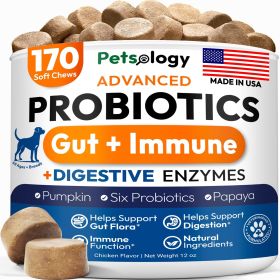 Probiotics for Dogs 170 Dog Probiotics Chews Digestive Enzymes & Prebiotics Support Gut Health Diarrhea Gas & Constipation Relief Itchy Skin Allergies